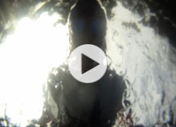 Video of 2012 Dragon Boat Race by Matthew Lennox